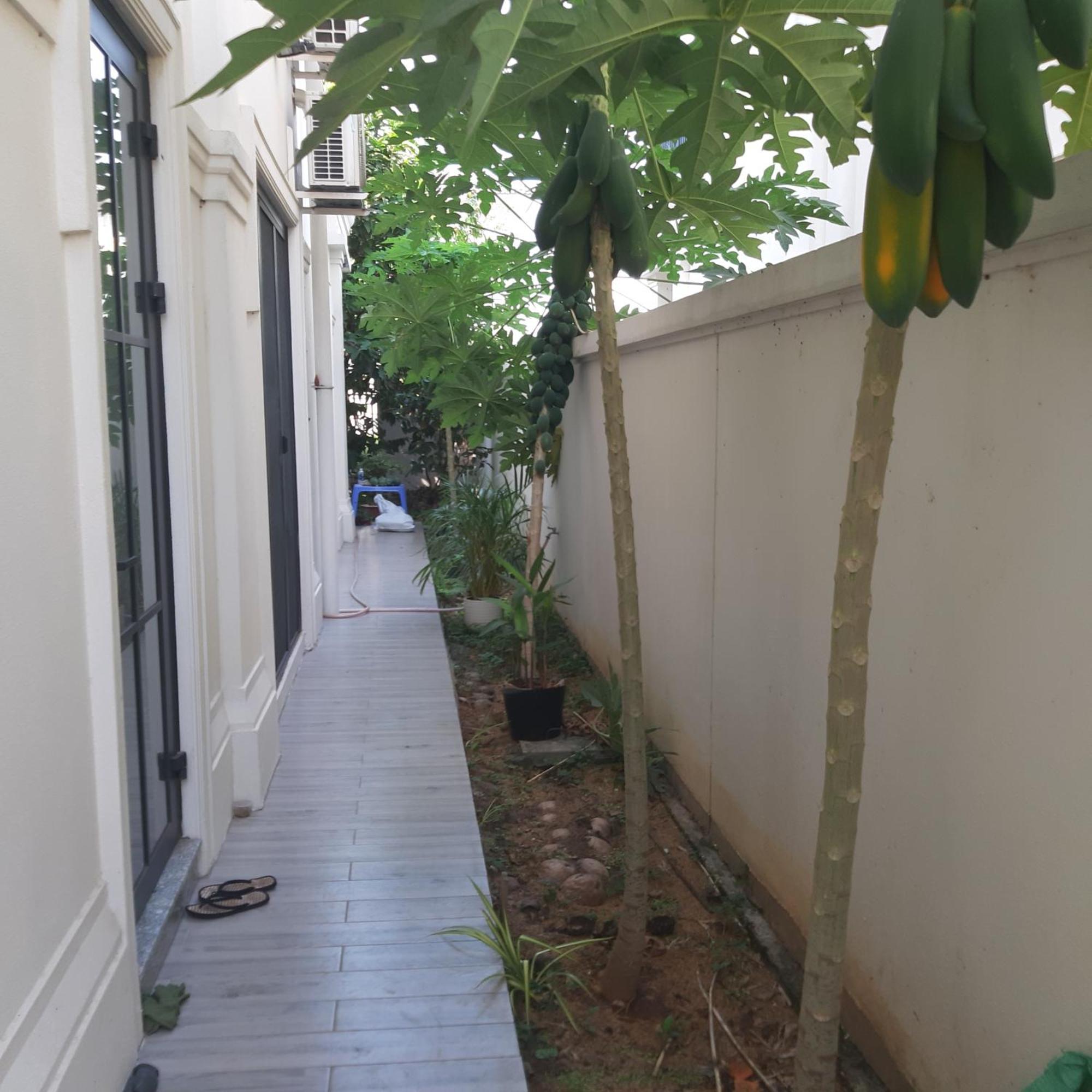 Thong Dong Homestay Phuoc Ly Exterior foto